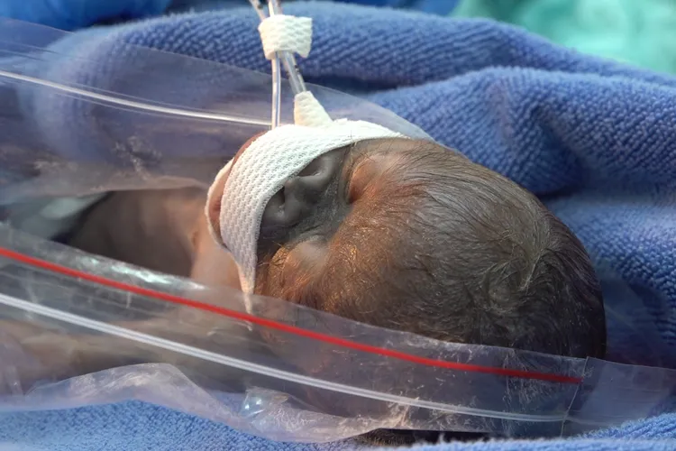 照護團隊將持續嚴密觀察兩隻寶寶（小寶）健康狀況。北市動物園提供