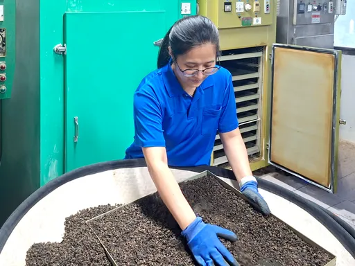 「茶界奧斯卡獎」出爐！首見父女接力奪奬　鐵觀音價飆10倍