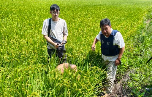 逆轉！台中刑事小隊長遭衝撞手肘骨折　嫌犯5萬交保變羈押