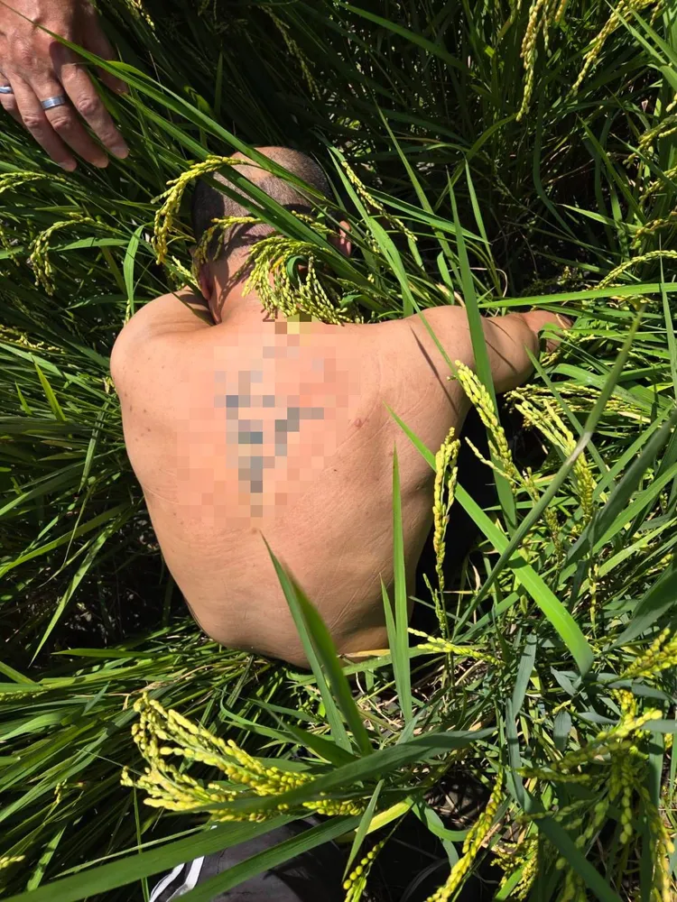 把刑事小隊長撞到手肘骨折的邱姓嫌犯，交保1天隨即遭檢方聲押獲准。資料照片