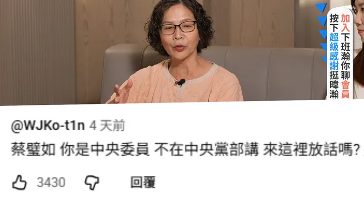 蔡壁如與楊寶楨近日接受資深媒體人黃暐瀚專訪，柯文哲事後以私人帳號在YouTube留言區發文批評蔡壁如。翻攝YT