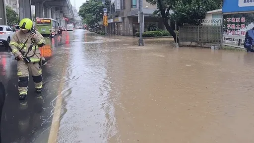 內湖積淹水「落葉的錯？」　林亮君：市民家泡水各局處還在互踢皮球