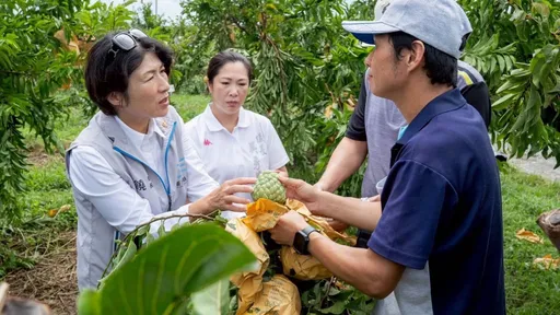台灣人不吃鳳梨釋迦？　台東議長：農民不該成為政治意識形態犧牲者