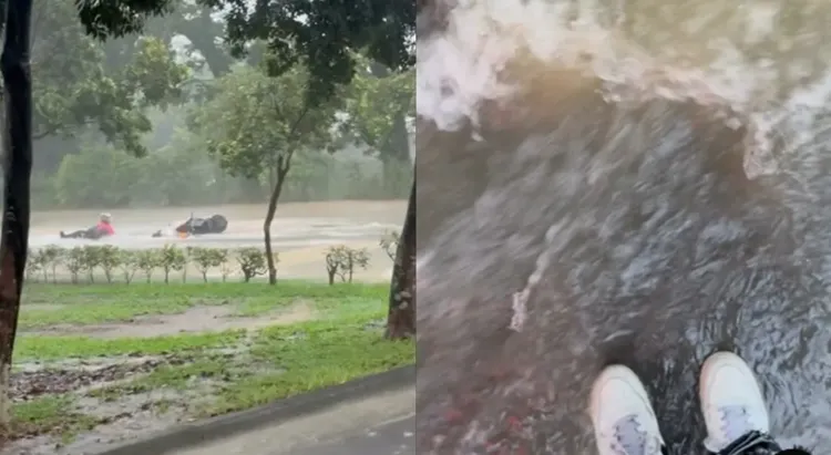 網友分享屏科大雨勢驚人。網友bryan__shih__授權提供