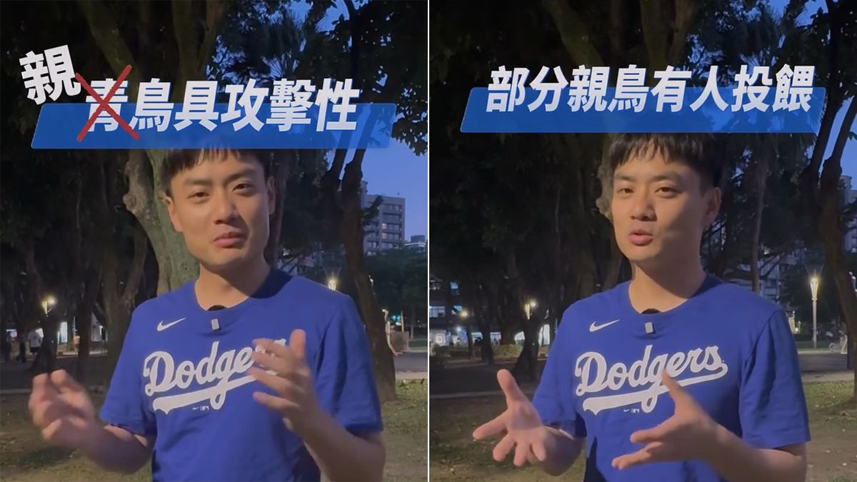 「親鳥」無理由就攻擊人 殷瑋:有些是有人特意餵養的