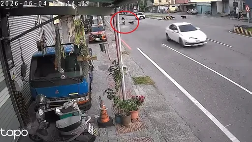 台中黑犬突衝車道害重機摔車　騎士滑行20公尺撞柱！氣到飆髒話