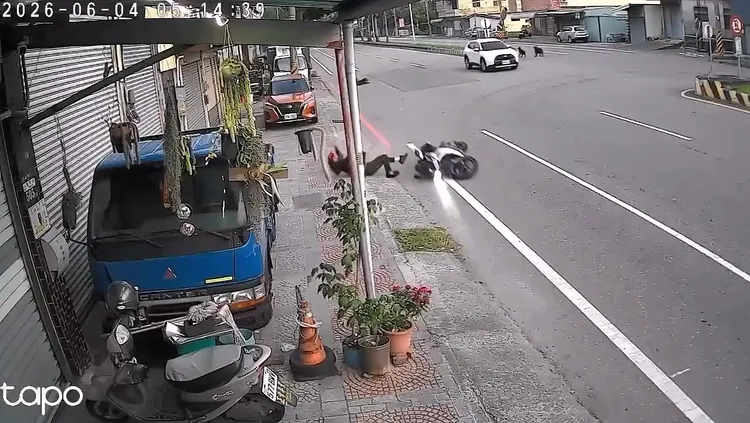 重機騎士遭黑犬撞擊後連人帶車往前滑行。攝自Threads/wrs1014.20