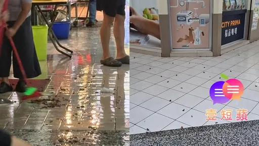 壹短蘋｜端午節前暴雨北市變「蟑螂湯底」！還沒颱風季就出包
