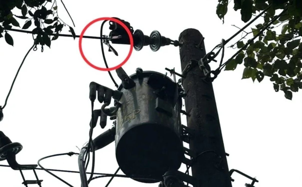 「挖竹筍觸電」案情大逆轉! 台電勘查揪「2大疑點」直指竊電纜釀禍