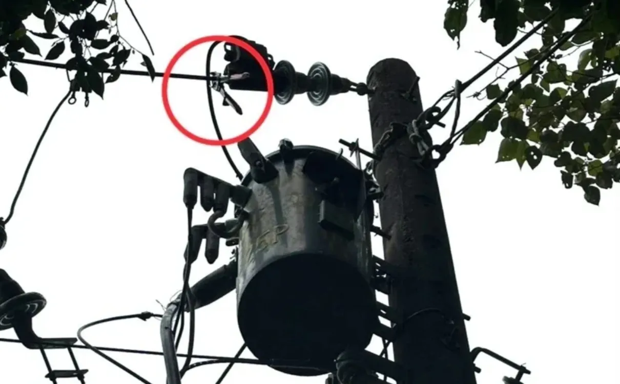 「挖竹筍觸電」案情大逆轉！　台電勘查揪「2大疑點」直指竊電纜釀禍