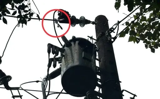 「挖竹筍觸電」案情大逆轉！　台電勘查揪「2大疑點」直指竊電纜釀禍
