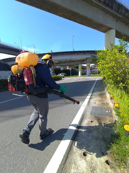豪雨退去別大意　北市啟動全市噴消作業防病媒蚊孳生