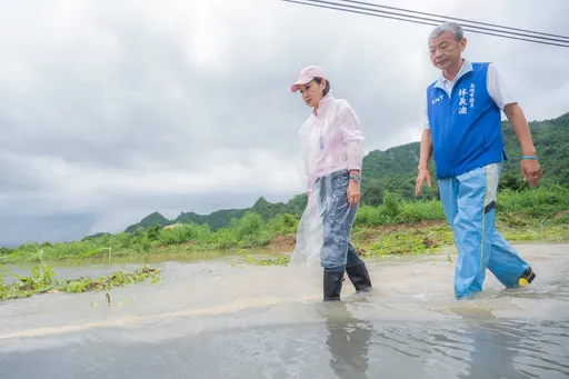 轟綠側翼「水蓮不怕水」敗票　Cheap：農民血本無歸還得闢謠