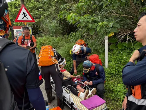 東北角步道再傳蜂螫意外！　30人登山團遭蜂群攻擊4人送醫