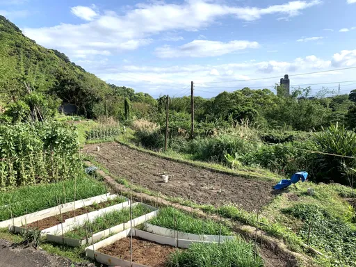 搶當都市農夫！新北釋出4筆市有農地招租　陽明山旁打造專屬開心農場