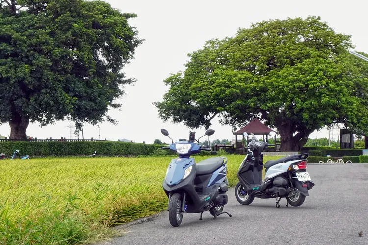老樹公園保留大片綠意與農村聚落景觀，成為田中居民休憩與遊客造訪的重要場所。林浩昇攝