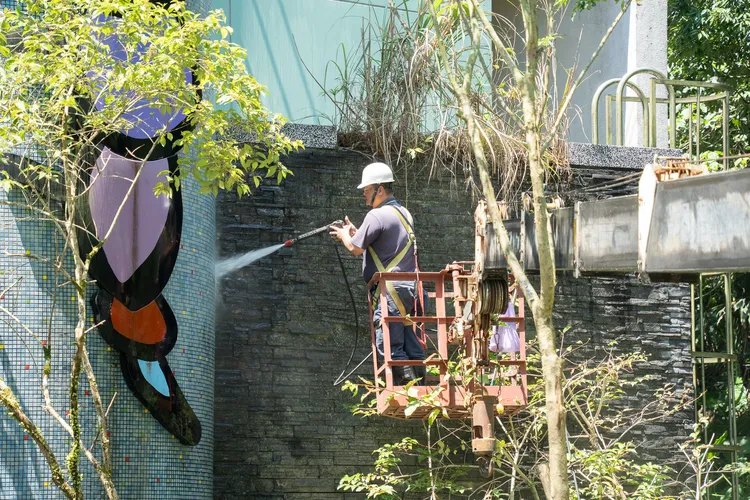 不對外開放期間進行昆蟲館等建築外牆的清潔維護。台北動物園提供