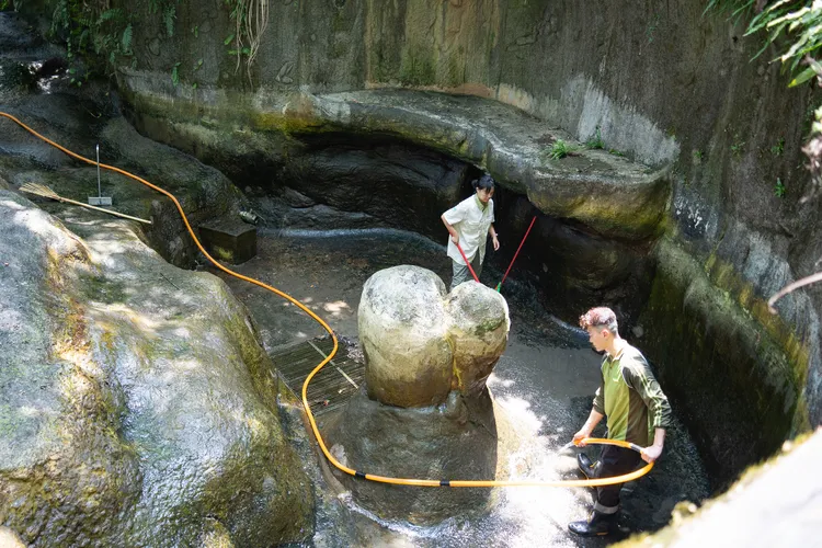 保育員趁著沒有參觀人潮的期間，集中整理動物活動場。台北動物園提供