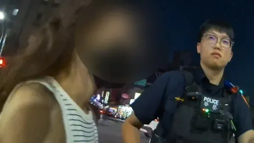 艱辛求子卻自毀形象！網紅驚爆毒駕　載3歲女連撞2車衝進店家