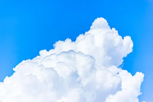 夏至到了！命理師點名4生肖注意健康　6大開運養生法一次看