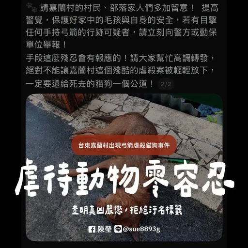 太可惡！台東部落傳弓箭射傷貓狗　立委陳瑩關注盼早日破案
