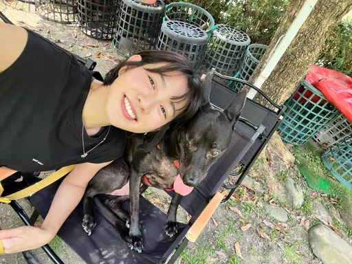 遭批「蹭動物受虐新聞」太閒嗎？米可白霸氣全說了