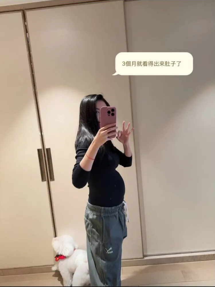 愷樂從一寶媽升格為三寶媽，分享懷孕近況。翻攝愷樂IG