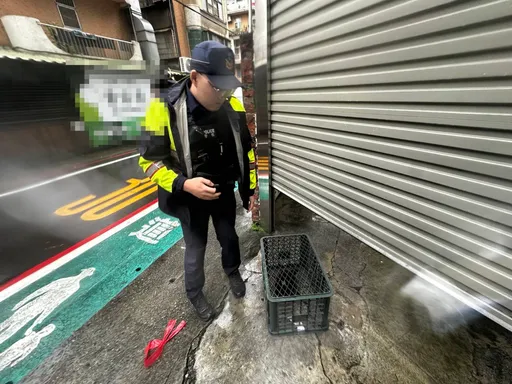 桃園街頭「落跑雞」逛大街！險釀事故　出身農家警員出手秒逮捕