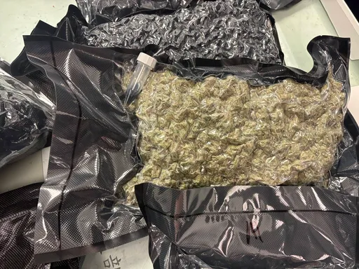 重金誘惑淪毒梟車手！美、加2男行李藏近億元大麻闖關被逮　下場出爐