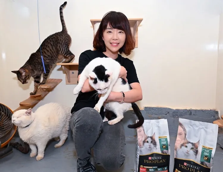 台灣雀巢普瑞納寵物食品事業部總監周小喬與浪貓親暱互動，冠能舒敏飼料讓每一次擁抱都充滿安心與幸福。業者提供