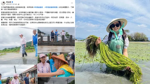 綠譏柯志恩不懂水蓮種水裡　白喬茵斥側翼：不懂專業又不尊重農民