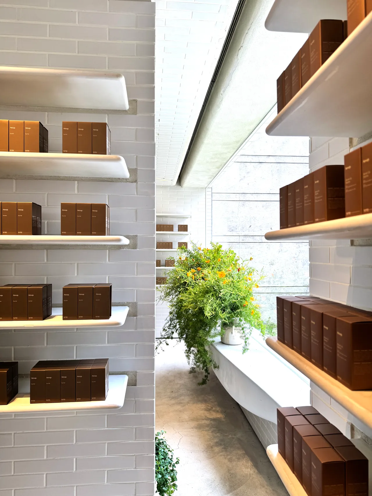 Aesop夏季期間限定街角花店。品牌提供