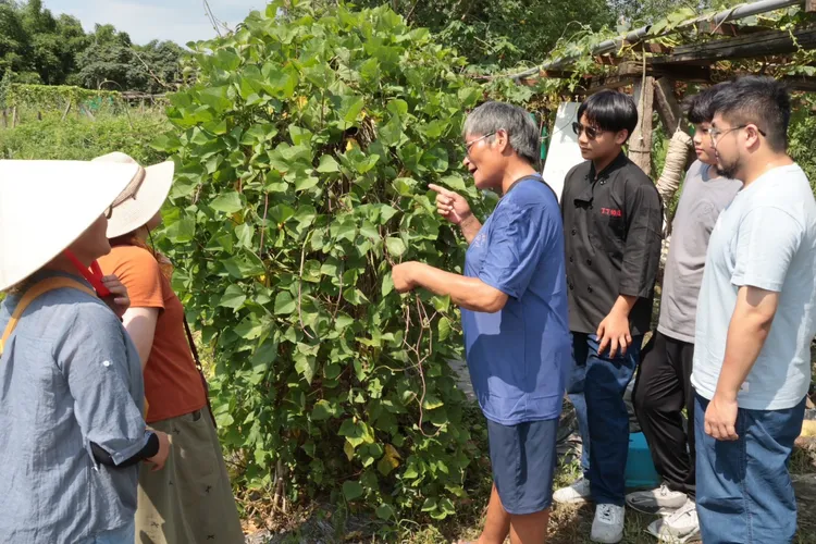Ina帶領市民認識翼豆與雀豆。原民局提供
