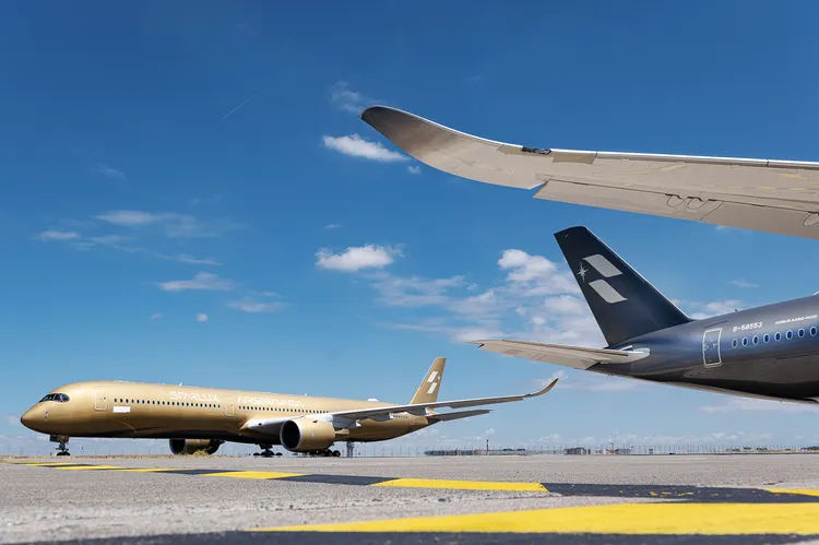 與日本藝術家空山基共同打造機身編號B-58553的藝術機，已法國正式完成交機。星宇航空提供