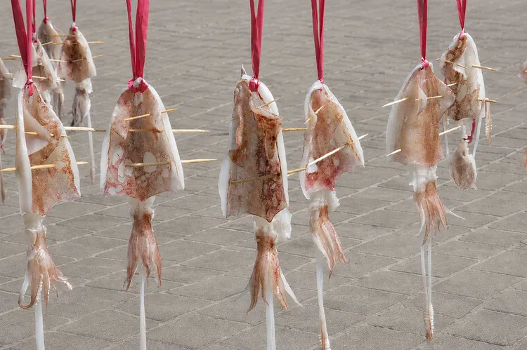 小卷一夜干體驗活動，推廣食魚教育與在地漁產特色。漁業處提供