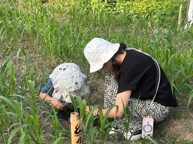 《Lita da！回音計畫》節目分享高雄「瑪星哈蘭部落」復育小米的故事，圖為小米田農作體驗。原文會提供