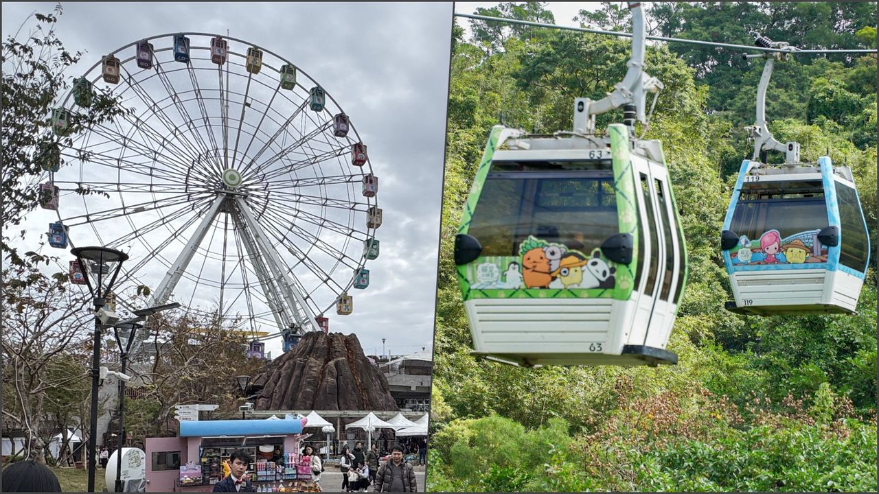 貓纜、兒童新樂園停2天!巴威逼近 動物園夜間活動取消