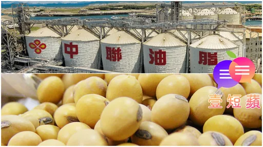 壹短蘋｜1300公噸致癌油吃下肚才回收　這種食安叫人民怎麼安心？