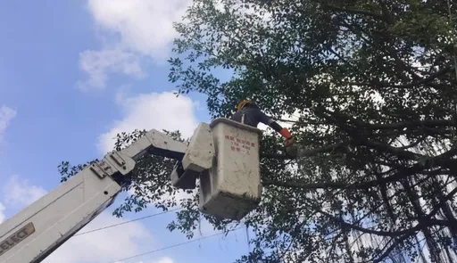 迎戰巴威颱風！台電基隆區處提前修樹、防汛護供電