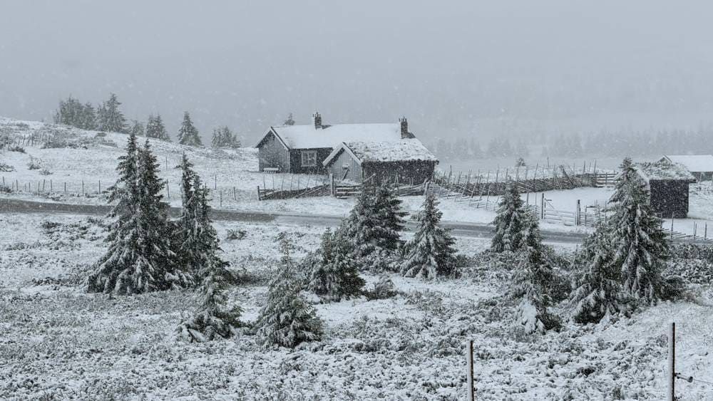 耶誕老人來早了!歐洲熱浪狂襲 挪威竟降7月雪