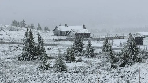 耶誕老人來早了！歐洲熱浪狂襲　挪威竟降7月雪