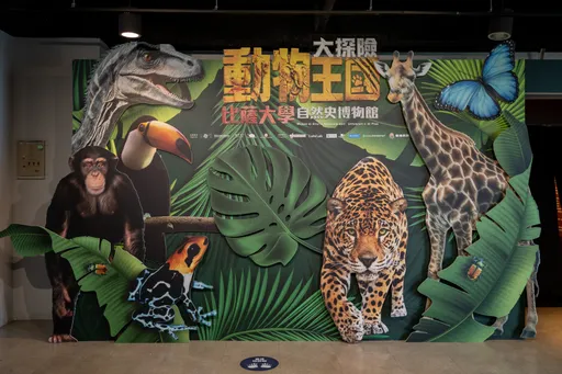 世界級自然史特展來台！《動物王國大探險展》登陸科教館　沉浸式探索六大生態、傳遞永續理念