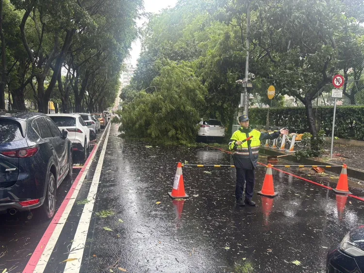 台中市北區太原路路樹倒塌，警方在現場交管。民眾提供
