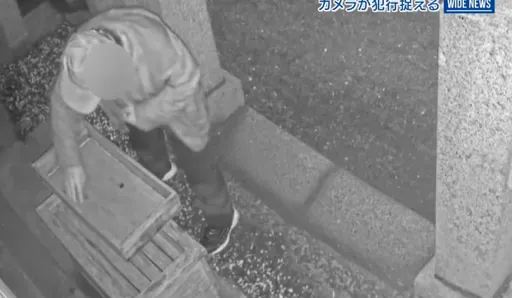神社連環賊是他？「黎明前の棒球帽男」偷香油錢後再添油香　詭異畫面曝光