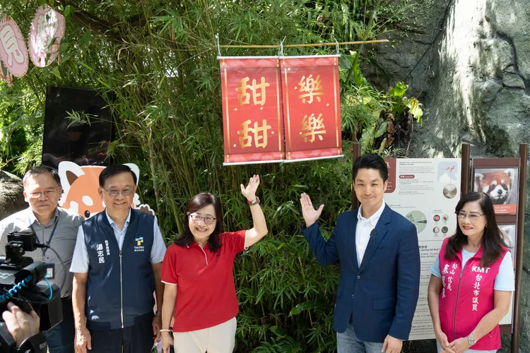 蔣萬安宣布上海小貓熊命名為「甜甜」與「樂樂」。北市動物園提供