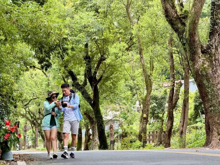 旅客可搭乘火車走訪集集綠色隧道，深入感受台灣最美支線鐵道的慢旅行魅力。業者提供