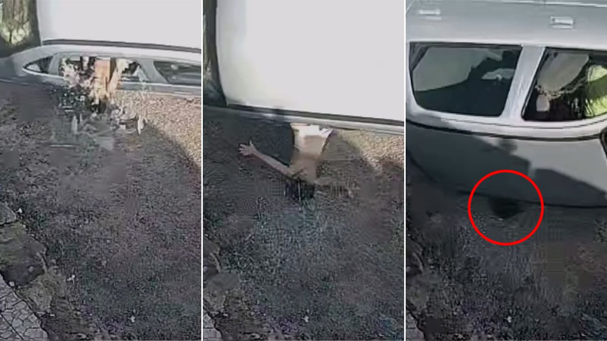 驚悚影片|嬤開車撞翻 後座3歲孫「沒綁帶甩車外」被車身爆頭亡