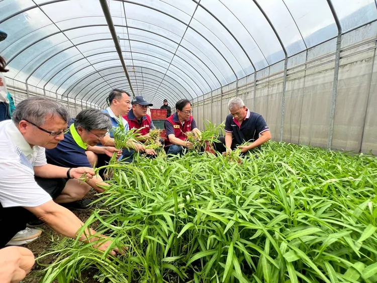 張善政視察新屋區農場。農業局提供