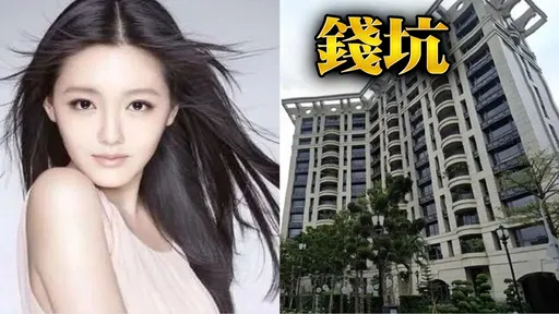 獨家｜大S生前貸1.1億借汪小菲！S媽豪宅爆恐遭法拍　曝小S下一步