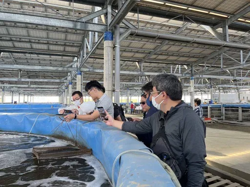 漁電共生又出事！誠新集團遭搜索　前負責人挪用資金遭收押
